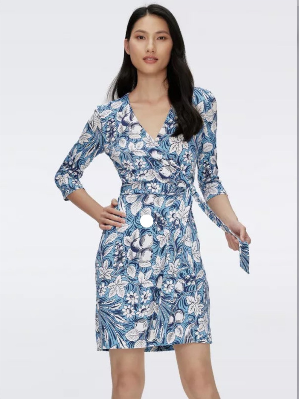 Diane Von Furstenberg Julian Bird of Paradise Dress